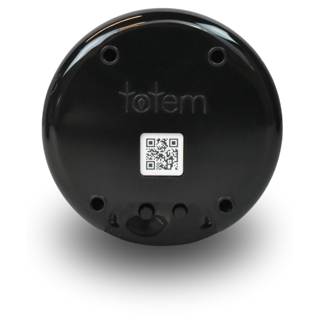 Totem Compass